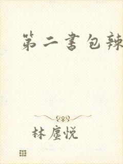 第二书包辣文
