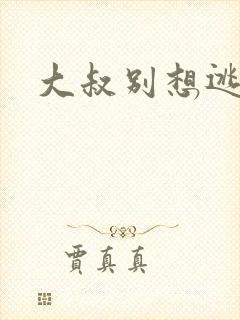 大叔别想逃