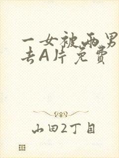 一女被两男桶进去A片免费封面