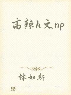 高辣h文np