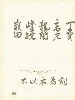 巅峰龙主丁长顺田晓兰免费阅读