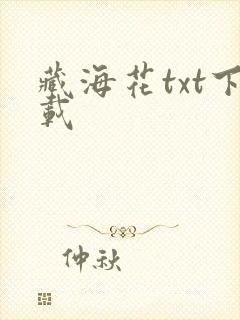 藏海花txt下载