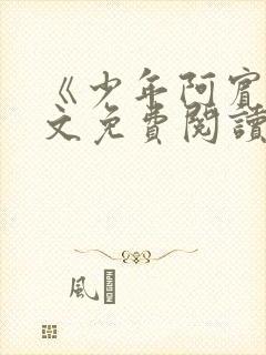 《少年阿宾》全文免费阅读