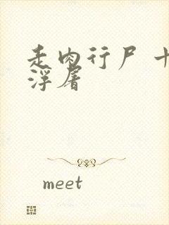 走肉行尸 十阶浮屠