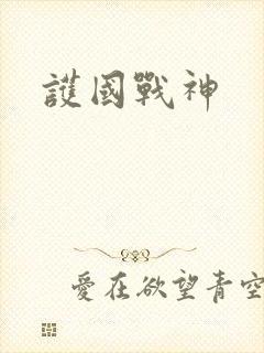 护国战神