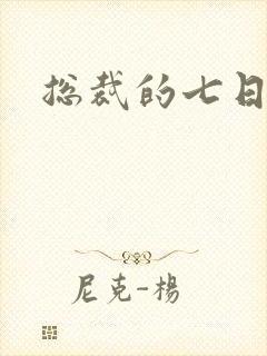 总裁的七日索情封面