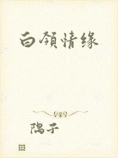 白领情缘