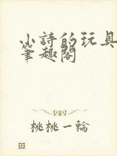 小诗的玩具日记笔趣阁封面