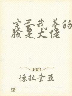 完蛋我养的小白脸是大佬封面