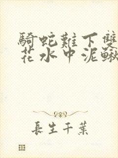 骑蛇难下双金银花水中泥鳅双男主