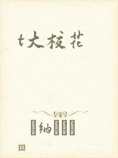 t大校花