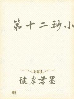 第十二秒小说