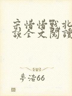 宋惜惜战北望小说全文阅读