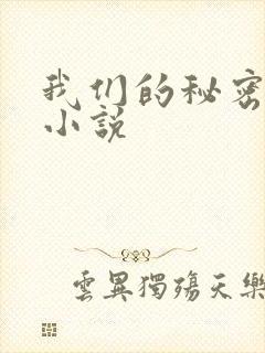 我们的秘密泰剧小说