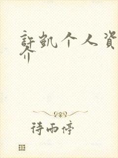 许凯个人资料简介