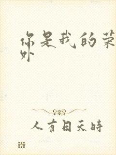 你是我的荣耀番外