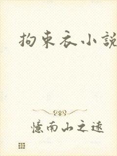 拘束衣小说封面