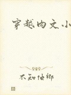 穿越肉文小说