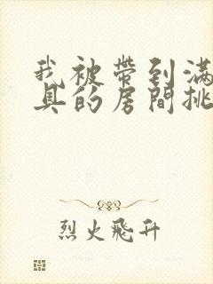 我被带到满是玩具的房间挑调作文