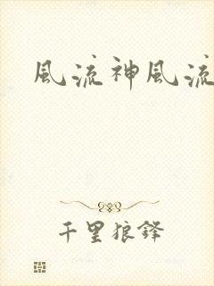 风流神风流记