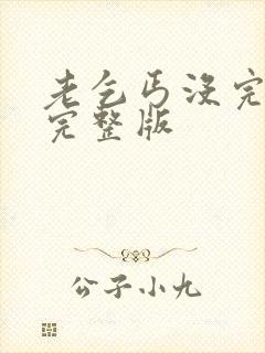 老乞丐没完没了完整版