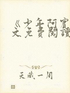 《少年阿宾》全文免费阅读