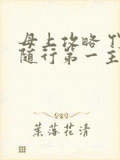 母上攻略 竹影随行第一主板