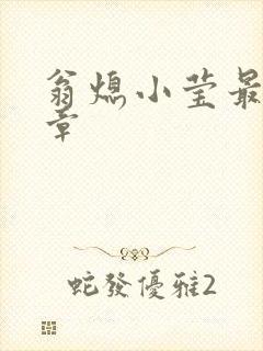 翁熄小莹最新节章封面
