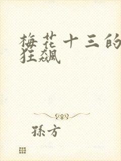 梅花十三的乳液狂飙封面