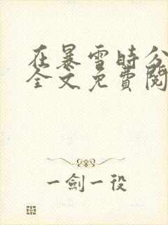 在暴雪时分小说全文免费阅读封面