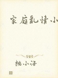 家庭乱情小说