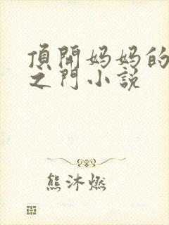 顶开妈妈的生命之门小说
