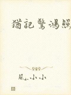 犹记惊鸿照影封面