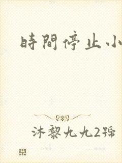 时间停止小说