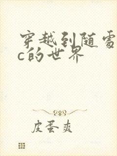 穿越到随处可以c的世界