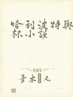 哈利波特与火焰杯小说