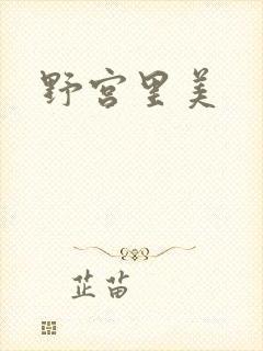 野宫里美