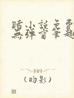 赌小说免费阅读无弹窗笔趣阁