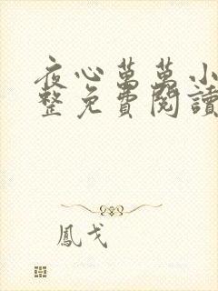 夜心万万小说完整免费阅读全文