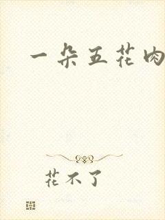 一朵五花肉
