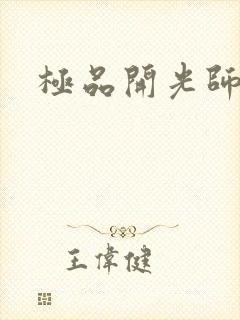 极品开光师封面