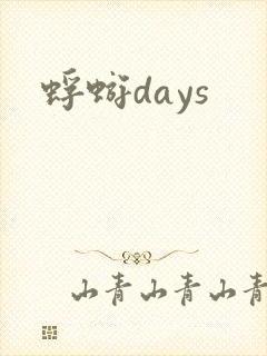 蜉蝣days封面