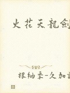 火花天龙剑封面