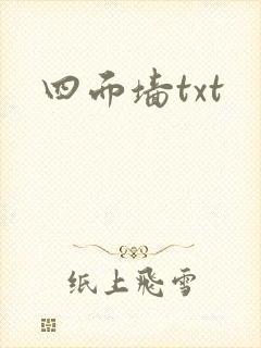 四面墙txt