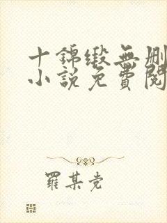 十锦缎无删原著小说免费阅读