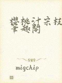 樱桃汁宋枝江野笔趣阁