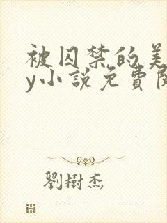 被囚禁的美人by小说免费阅读