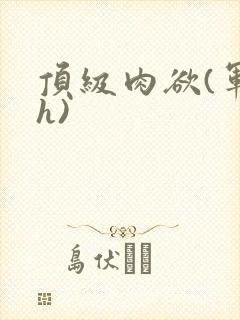 顶级肉欲(军高h)