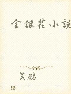 金银花小说乐可