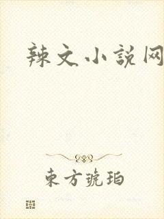 辣文小说网